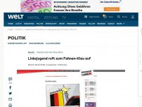 Bild zum Artikel: Linksjugend ruft zum Fahnen-Klau auf