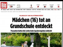 Bild zum Artikel: Halbnackt und blutüberströmt - Mädchen (16) tot an Grundschule entdeckt