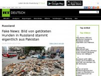 Bild zum Artikel: Fake News: Bild von getöteten Hunden in Russland stammt eigentlich aus Pakistan