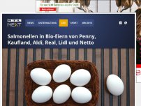 Bild zum Artikel: Salmonellen in Bio-Eiern von Penny, Kaufland, Aldi, Real, Lidl und Netto