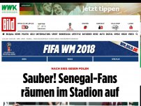 Bild zum Artikel: Nach Sieg gegen Polen - Na, sauber! Senegal-Fans putzen ihren Fan-Block