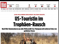 Bild zum Artikel: Seltene Giraffe erschossen - US-Touristin im Trophäen-Rausch
