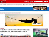 Bild zum Artikel: WM 2018 - Experte: Deutsche Fußballfans wenden sich wegen der AfD von Schwarz-Rot-Gold ab