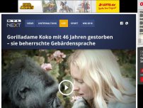 Bild zum Artikel: Gorilladame Koko mit 46 Jahren gestorben