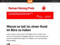 Bild zum Artikel: Warum es toll ist, einen Hund im Büro zu haben
