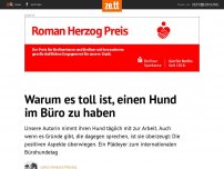 Bild zum Artikel: Warum es toll ist, einen Hund im Büro zu haben