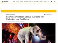 Bild zum Artikel: Schweden verbietet Zirkus-Auftritte von Elefanten und Seelöwen