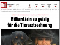 Bild zum Artikel: Kranke Hunde ins Heim - Milliardärin zu geizig für die Tierarztrechnung