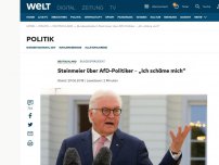 Bild zum Artikel: Steinmeier über AfD-Politiker – „Ich schäme mich“