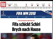 Bild zum Artikel: Nur ein WM-Einsatz - Fifa schickt Schiri Brych nach Hause