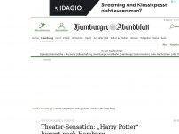Bild zum Artikel: Spektakuläres Projekt: Sensation: „Harry Potter“ kommt nach Hamburg