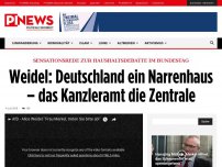 Bild zum Artikel: Sensationsrede zur Haushaltsdebatte im Bundestag Weidel: Deutschland ein Narrenhaus – das Kanzleramt die Zentrale