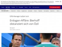 Bild zum Artikel: Bierhoff: 'Hätte überlegen müssen, ob man auf Özil verzichtet'