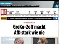Bild zum Artikel: Schock-Umfrage - GroKo-Zoff macht AfD stark wie nie