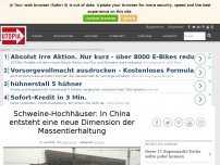 Bild zum Artikel: Schweine-Hochhäuser: In China entsteht eine neue Dimension der Massentierhaltung