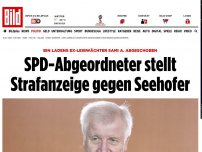 Bild zum Artikel: Abgeschobener Salafist - SPD-Abgeordneter stellt Strafanzeige gegen Seehofer