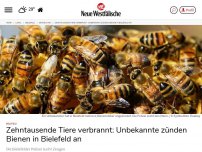 Bild zum Artikel: Bielefeld: Zehntausende Tiere verbrannt: Unbekannte zünden in Bielefeld Bienenstöcke an