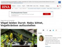 Bild zum Artikel: Vögel leiden Durst: Nabu bittet, Vogeltränken aufzustellen