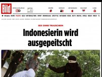 Bild zum Artikel: Sex ohne Trauschein - Indonesierin wird ausgepeitscht 