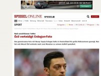 Bild zum Artikel: Nationalspieler Özil: 'Würde Erdogan-Foto wieder machen'