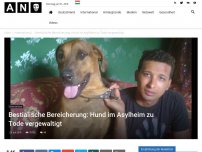 Bild zum Artikel: Bestialische Bereicherung: Hund im Asylheim zu Tode vergewaltigt