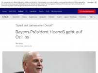 Bild zum Artikel: Bayern-Präsident Hoeneß geht auf Özil los