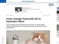 Bild zum Artikel: Erstes Leipziger Katzencafé will im September öffnen