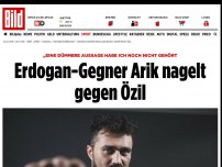 Bild zum Artikel: »Nichts Dümmeres gehört - Anti-Erdogan-Boxer Arik nagelt gegen Özil