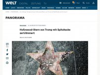 Bild zum Artikel: Hollywood-Stern von Trump mit Spitzhacke zertrümmert