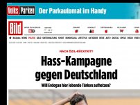 Bild zum Artikel: Nach Özil-Rücktritt - Türkische Online-Kampagne gegen Deutschland