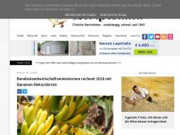 Bild zum Artikel: Bundeslandwirtschaftsministerium rechnet 2018 mit Bananen-Rekordernte