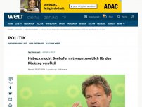Bild zum Artikel: Habeck macht Seehofer mitverantwortlich für den Rückzug von Özil