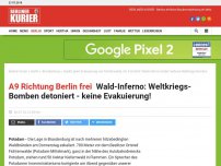 Bild zum Artikel: A2, A9, A10 dicht: Wald-Inferno zündet Weltkriegs-Bomben: Beelitz plant Evakuierung
