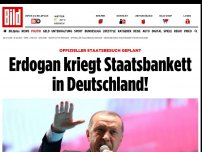 Bild zum Artikel: Mit militärischen Ehren - Staatsbankett für Erdogan in Deutschland!