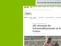 Bild zum Artikel: AfD ist abermals für Schusswaffeneinsatz an deutscher Grenze