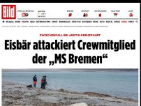 Bild zum Artikel: „MS Bremen'-Kreuzfahrt - Eisbär-Attacke auf Crew-Mitglied