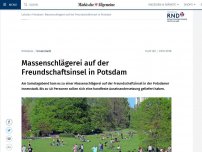 Bild zum Artikel: Massenschlägerei auf der Freundschaftsinsel in Potsdam