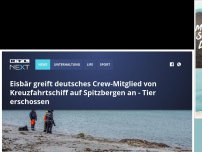 Bild zum Artikel: Eisbär greift deutsches Crew-Mitglied von Kreuzfahrtschiff an