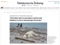 Bild zum Artikel: Getöteter Eisbär auf Spitzbergen: 'Sie haben dort so wenig zu suchen wie Eisbären in Ihrer Hamburger Zentrale'