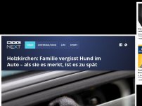 Bild zum Artikel: Holzkirchen: Familie vergisst Hund im Auto – als sie es merkt, ist es zu spät
