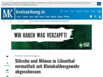 Bild zum Artikel: Störche und Möwen in Lilienthal vermutlich mit Kleinkalibergewehr abgeschossen
