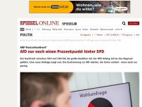 Bild zum Artikel: ARD-'Deutschlandtrend': AfD nur noch einen Prozentpunkt hinter SPD