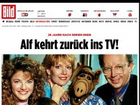 Bild zum Artikel: Nach 28 Jahren - Alf kehrt zurück ins Fernsehen!