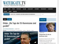 Bild zum Artikel: Orbán: „Die Tage der EU-Kommission sind gezählt“
