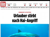 Bild zum Artikel: Ägypten - Urlauber stirbt nach Hai-Angriff