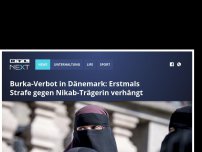 Bild zum Artikel: Burka-Verbot in Dänemark: Erstmals Strafe gegen Nikab-Trägerin verhängt