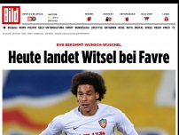 Bild zum Artikel: Belgischer WM-Star kommt - Witsel-Wechsel zum BVB perfekt