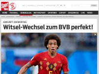 Bild zum Artikel: Ankunft am Montag | Witsel-Wechsel zum BVB perfekt!