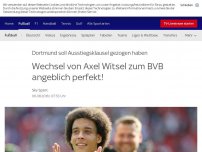 Bild zum Artikel: Wechsel von Axel Witsel zum BVB angeblich perfekt!
