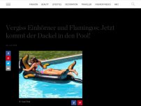 Bild zum Artikel: Jetzt gibt es einen aufblasbaren Dackel für den Pool oder den See